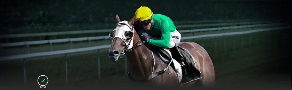 拉莫斯转会,至迈阿密国,与梅西并肩,开云全站官网,开云全站服务,开云体育资讯,开云娱乐平台,开云代理