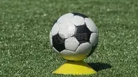 “马拉松私人陪跑服务，每场6000元，月收入潜力高达4万”