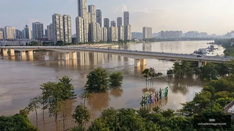 中文在线巨额定增疑云散，8天后撤回：主业困境暴露，股市场何去何从